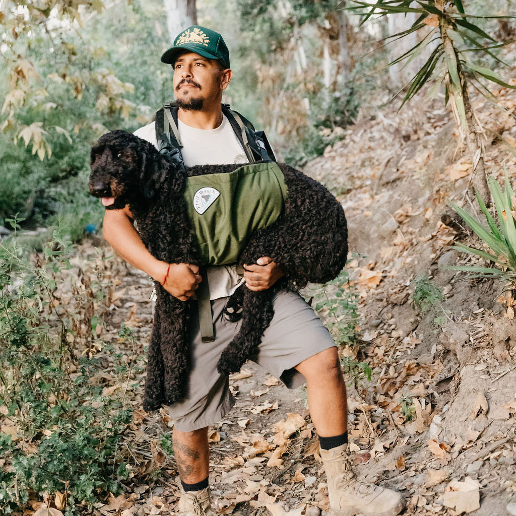 Trail Magik Dog Carrier